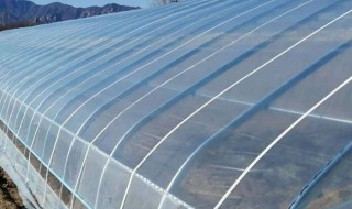 冬天如何做暖房 冬天暖房的做法