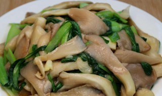 草蘑菇怎样做好吃 草蘑菇的做法