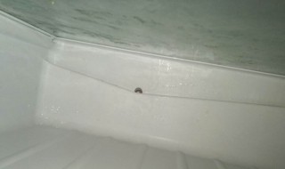 冰箱小孔流水怎么处理 冰箱小孔流水处理方法