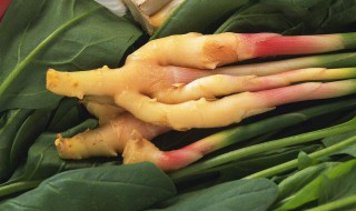 嫩姜去皮方法 嫩姜去皮的具体方法