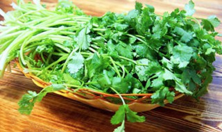 栽香菜方法 种植香菜时的方法