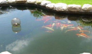 卧室鱼池怎么做 如何打造室内观鱼池