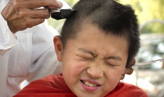 抓虱子的最佳方法 快速抓虱子的最佳方法