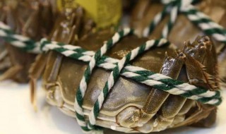 活河螃蟹储存方法 什么温度适合呢