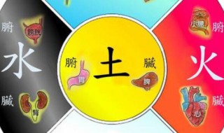 五行属土的字女孩名字 五行属土的字女孩名字有哪些