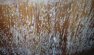 如何处理木头不发霉 处理木头不发霉的方法