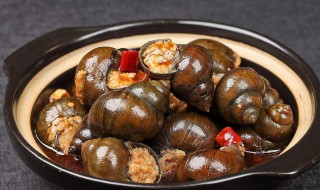 石螺蛳的营养价值 石螺蛳的营养价值有什么