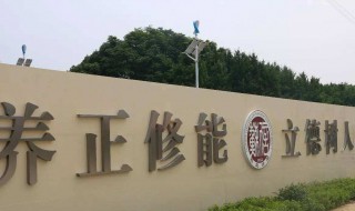 立德树人的经典句子 具体有哪些句子