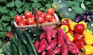 水果蔬菜保鲜技巧 蔬菜水果保鲜技巧