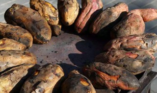 烤地瓜怎么保存 保存地瓜的方法