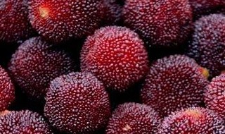 杨梅不用冰箱怎么保存 存放杨梅的方法