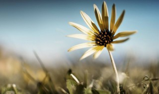 有深意的句子 有什么比较有深意的句子