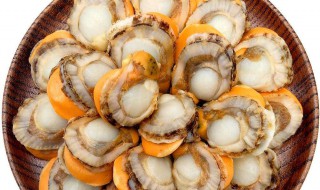 扇贝肉怎么保存 扇贝肉如何保存