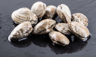 爆炒花蛤的技巧 爆炒花蛤怎么做好吃