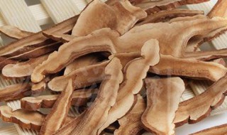 干灵芝怎么保存方法 存放灵芝的方法