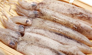 炒鱿鱼干如何做 炒鱿鱼干的做法