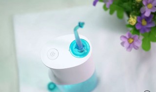 冲牙器清洁方法 冲牙器的清洁方法