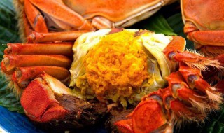 鲜螃蟹怎么做更鲜 鲜螃蟹如何做更鲜