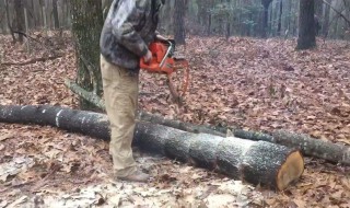 怎么正确使用电锯锯木头 如何正确使用电锯锯木头