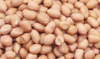 去了壳的花生种子怎么保存 可以保存多久呢