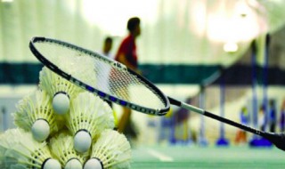 打羽毛球的精彩句子 打羽毛球的精彩句子列述