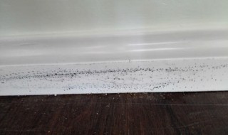 床单发霉怎么解决 床单发霉的解决方法