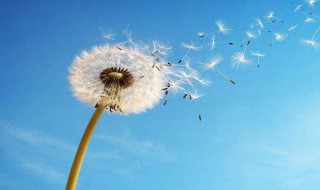 丢了最初的自己的句子 丢了最初的自己的句子列述