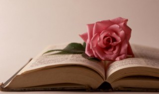 温馨感动话语 带给你心灵上的感动