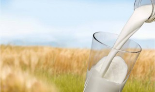 纯牛奶洗脸的正确方法 纯牛奶洗脸的正确方法介绍