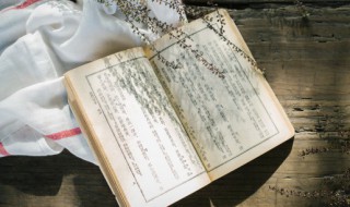 给运动员加油鼓劲的话 给运动员加油的句子