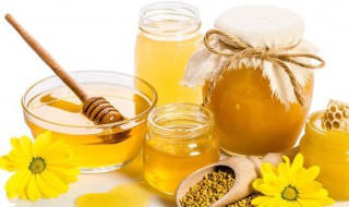 蜂蜜怎么样形成的 蜂蜜的酿造过程