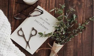 取一个特别的微信号 怎么取一个特别的微信号