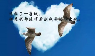 适合发说说表白的句子 适合发说说表白的闪耀句子