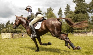 骑马发朋友圈的句子 适合发朋友圈骑马的句子