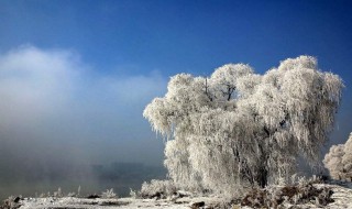 立冬节气的诗句 立冬节气的诗句推荐