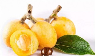 吃枇杷的正确方法 怎样使用枇杷