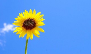 文艺暖心句子 文艺唯美的暖心句子