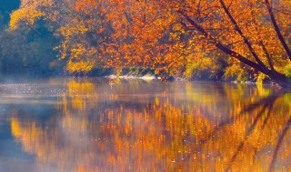 描写秋风凉爽的句子 秋风凉爽的唯美句子