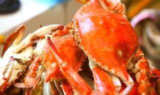 螃蟹哪些地方能吃 螃蟹能吃的地方是哪些