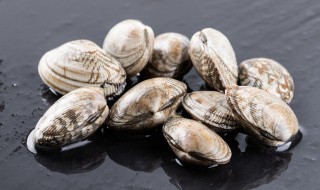 蛤蜊的功效和作用 蛤蜊肉有哪些功效和作用
