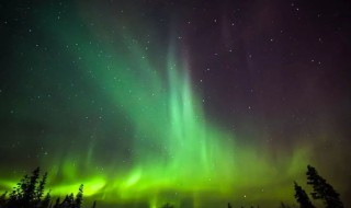 高光时刻是什么意思 高光时刻释义