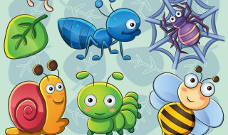 驱除虫子好方法 驱除虫子有哪些方法