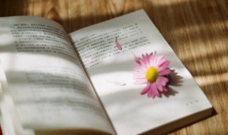 酷到掉渣的野性酷句 霸气野性句子集锦