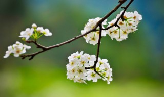 关于时间过得快的句子 关于时间过得快的句子精选