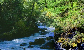 描写小溪的优美句子 描写小溪的优美句有哪些