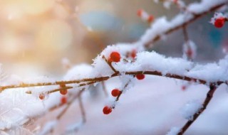 冬天驱寒最好的方法 冬天如何驱寒