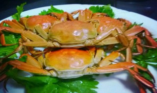 如何存放大闸蟹 存放大闸蟹的方法