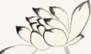 蒹葭苍苍怎么读 蒹葭苍苍的原文及译文