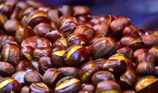 板栗怎么开口 板栗快速开口用什么方法