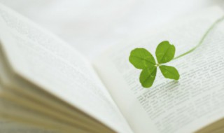 时间过得很快的优美句子 形容时间过得快句子